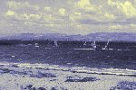 Leucate